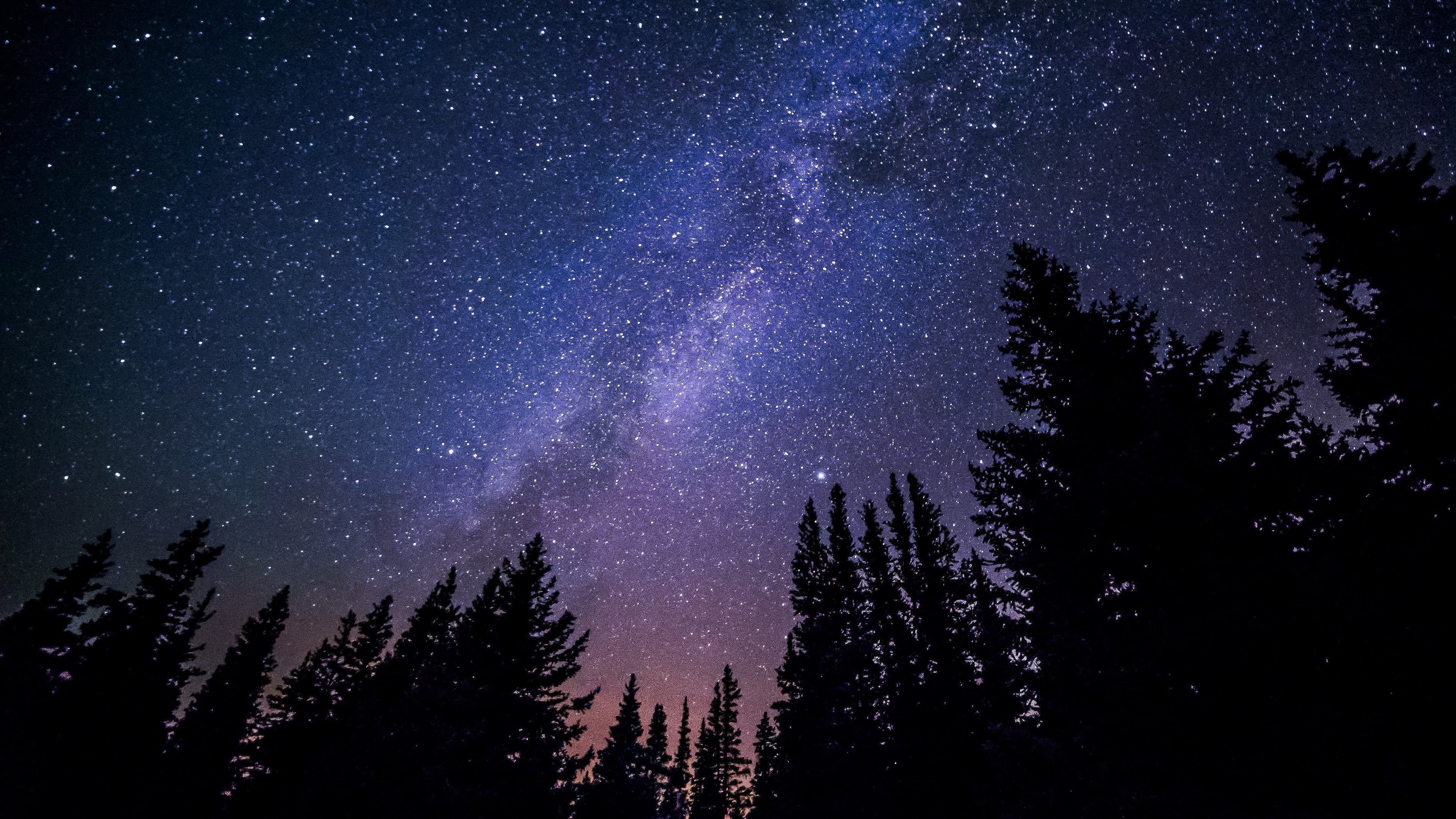 Deep midnight sky scattered with soft stars — the moment before the evening begins